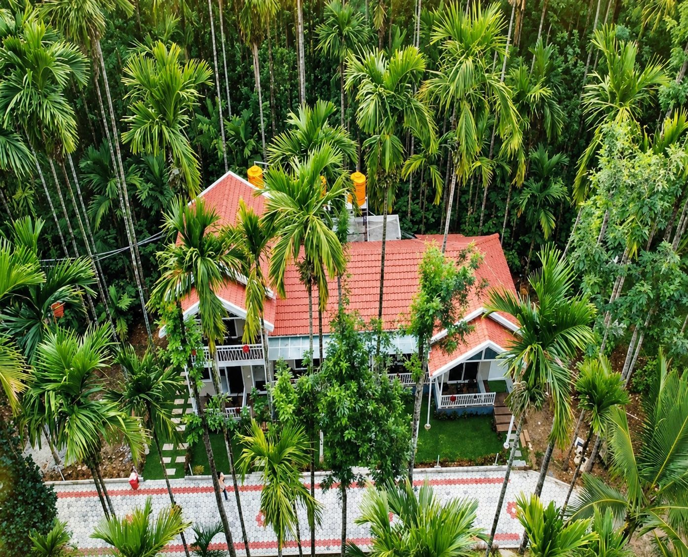 The two-storey cottage with its red roof among areca palms, seen from above
