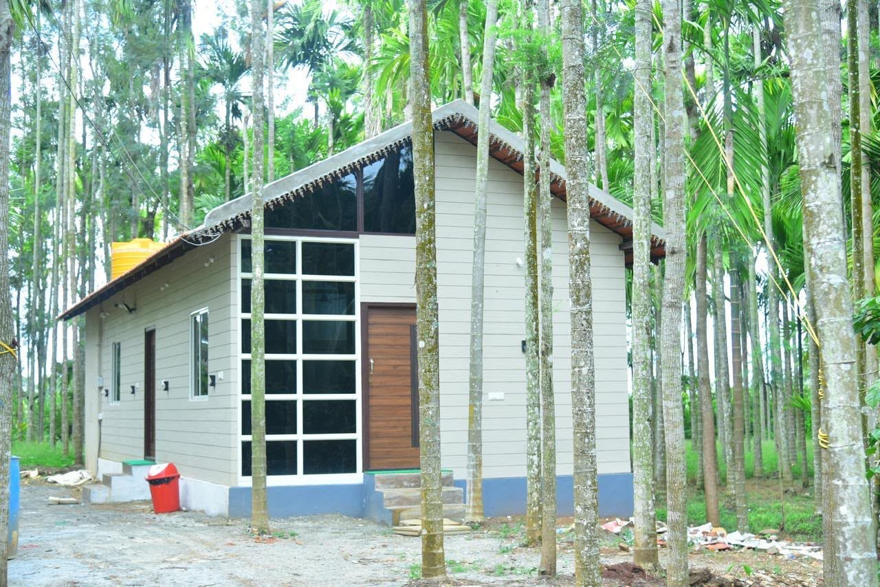 A cottage standing among tall areca palms